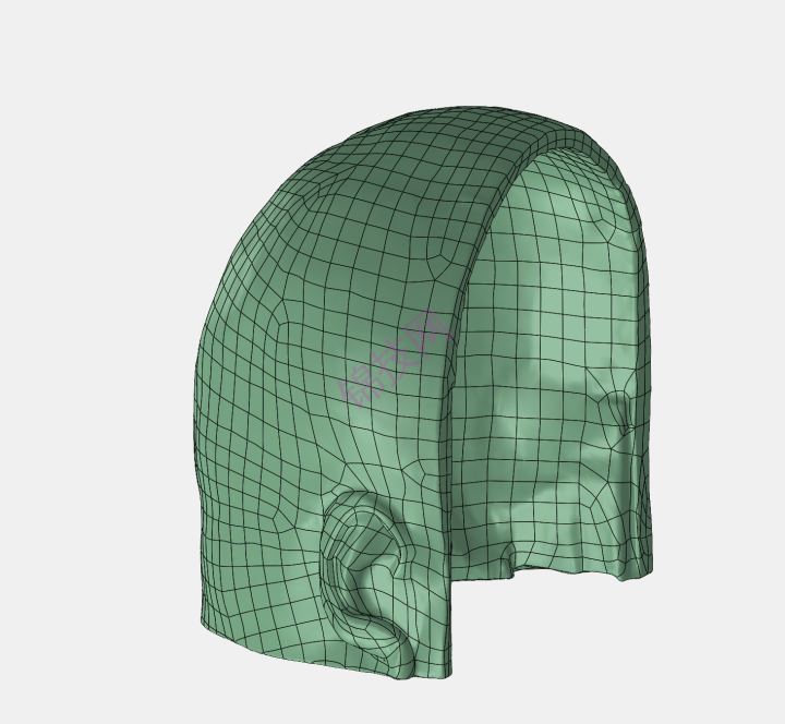 颅骨和头皮模型下载stp文件